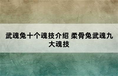 武魂兔十个魂技介绍 柔骨兔武魂九大魂技